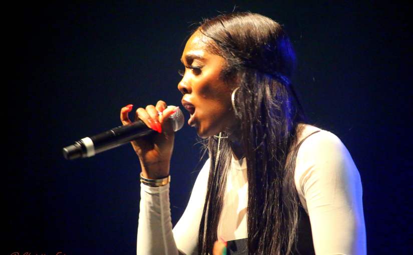Tiwa Savage au Festival « Afropunk 2019 » : les photos du concert!